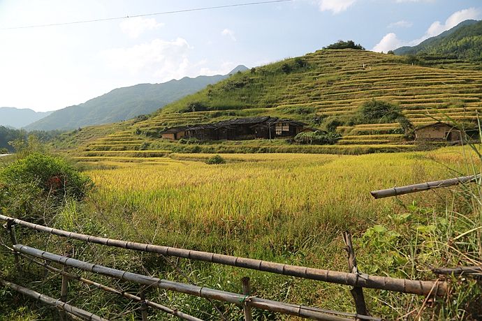 水蛭钻进身体里能活吗,水蛭被人吃进肚子里它能活多久