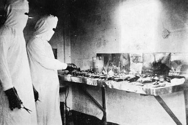 口罩什么时候成为历史,口罩发展史图片