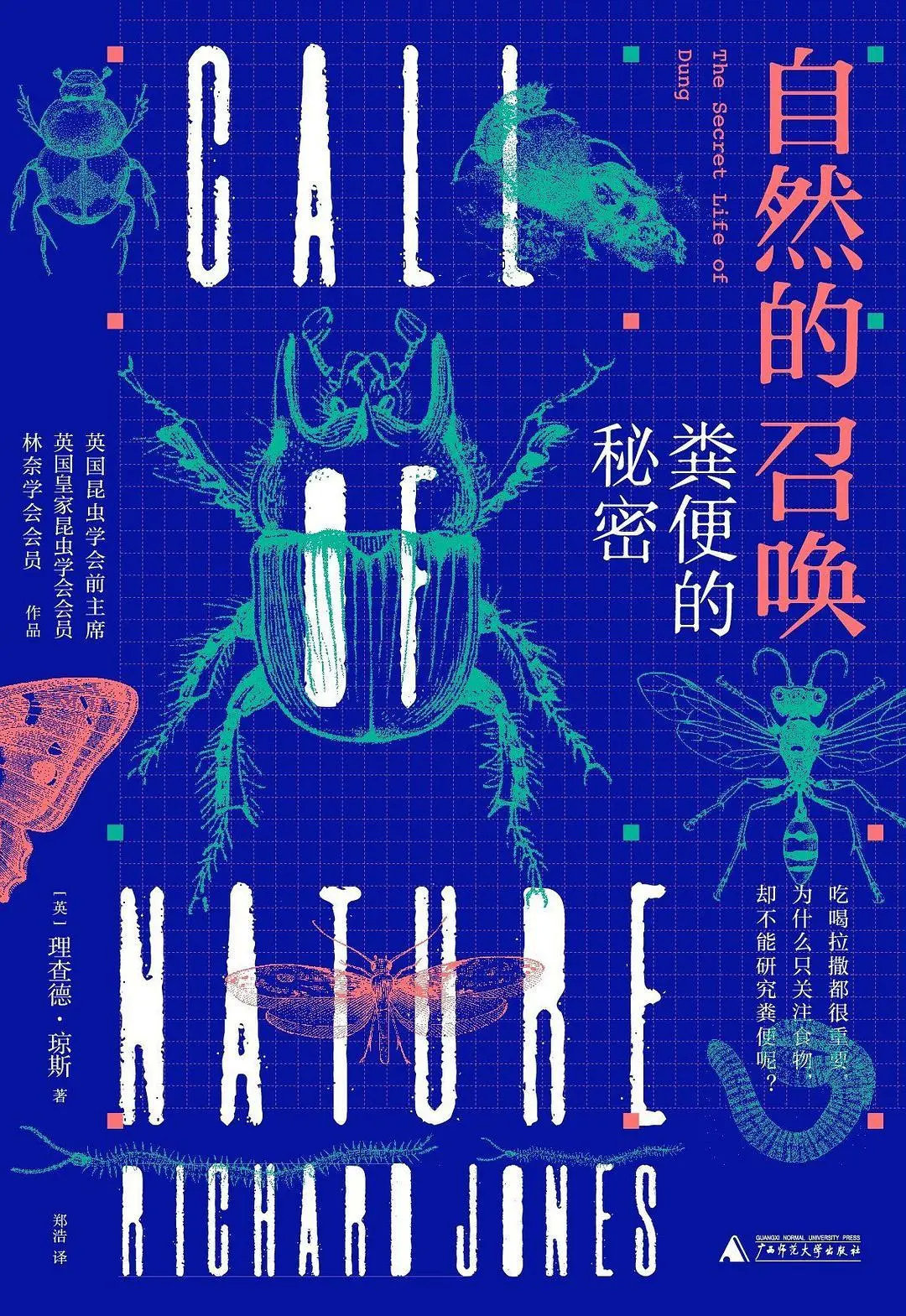 2020闃呮枃骞村害濂戒功姒滃崟,2021闃呮枃骞村害濂戒功姒滃崟鍑虹倝