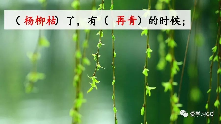 部编版小学语文六年级下册第8课《匆匆》图文讲解+知识要点