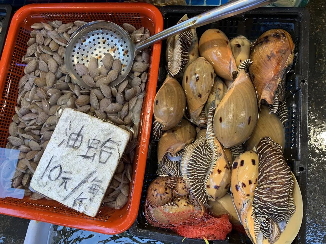 一次惬意的厦门之行,一家三口厦门玩四天