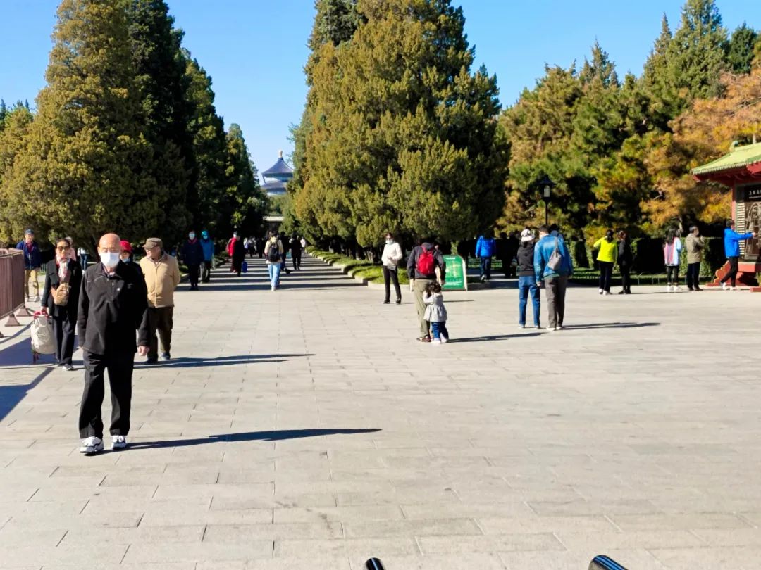 天坛公园周边,天坛旁边的公园