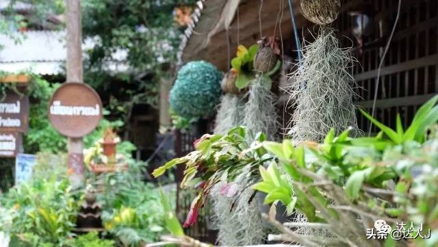 清迈攻略介绍,清迈攻略最全