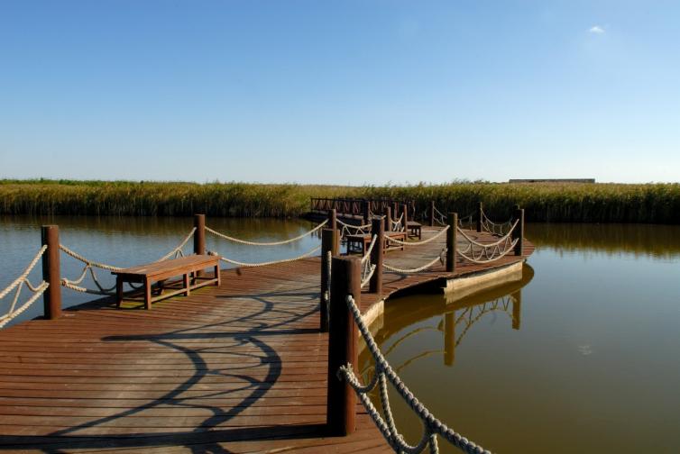 上海周边休闲自驾游攻略路线推荐,上海周边旅游自驾游攻略路线大全