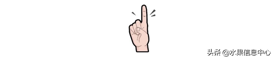 水果批发市场卖水果怎么收费,新手去水果批发市场的几大技巧