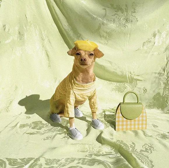 lv专卖店卖假事件,lv专柜假包事件