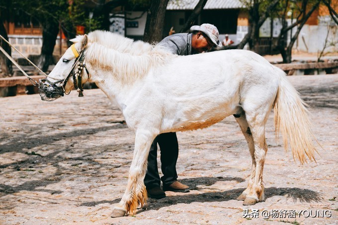 隐匿于城市的世外桃源,隐藏在深山中的世外桃源