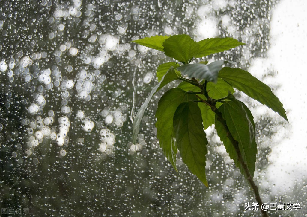 散文夏天雨后的早晨,散文夏天的雨图片