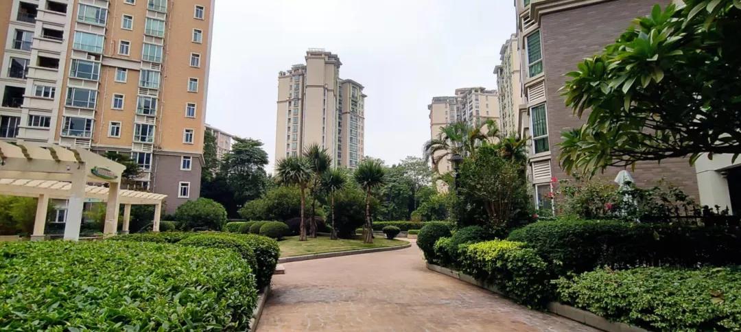 踩盘嘉樾庄,广州番禺市桥鸿禧华庭二手房价