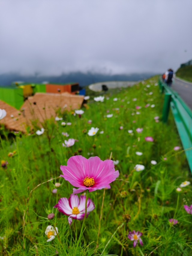 宜昌五峰晚上旅游攻略,宜昌五峰三日游景区旅游攻略