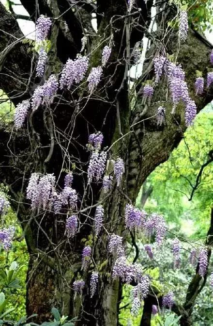 藏在山里苏州民宿,苏州一湖一宅民宿自由行热门攻略