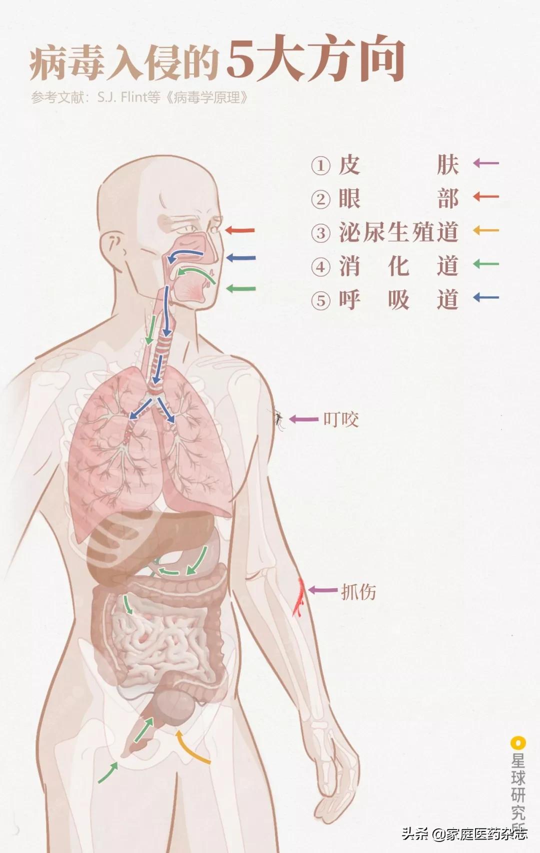 鍋囧鐥呮瘨鎰熸煋浜嗘垜,鍋囧鐥呮瘨鎰熸煋浜嗕綘