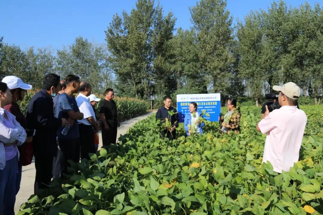 华山论豆，“小产业”迈出“大步伐”