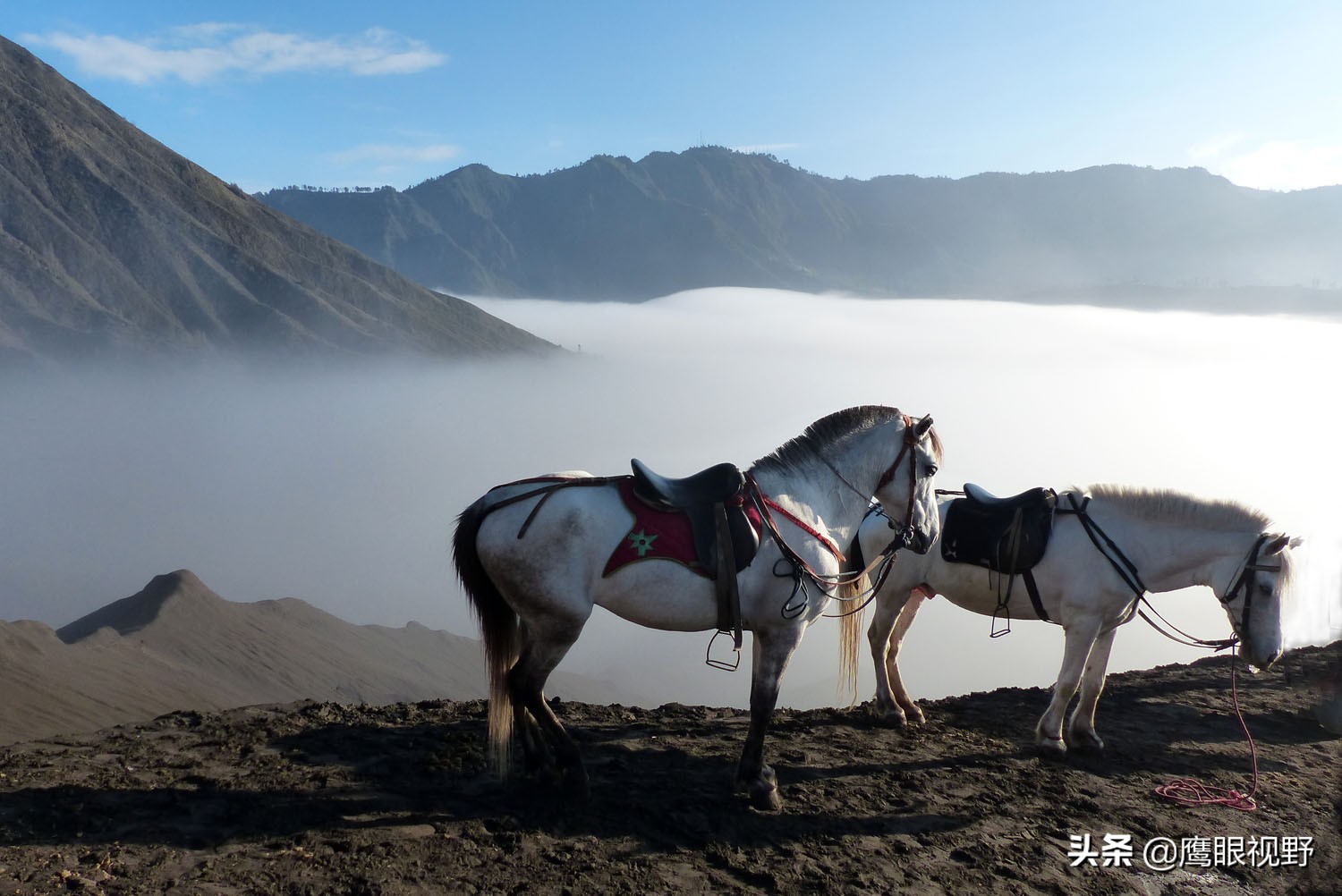 婆罗摩活火山,婆罗摩火山讲解
