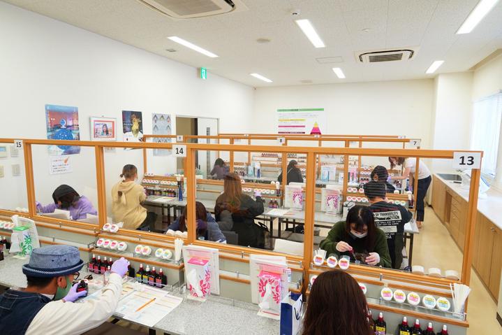 日本九州七星列车,日本九州列车