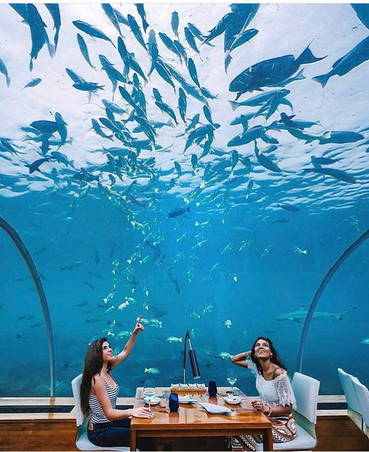 马尔代夫法式水上餐厅,马尔代夫海底餐厅视频