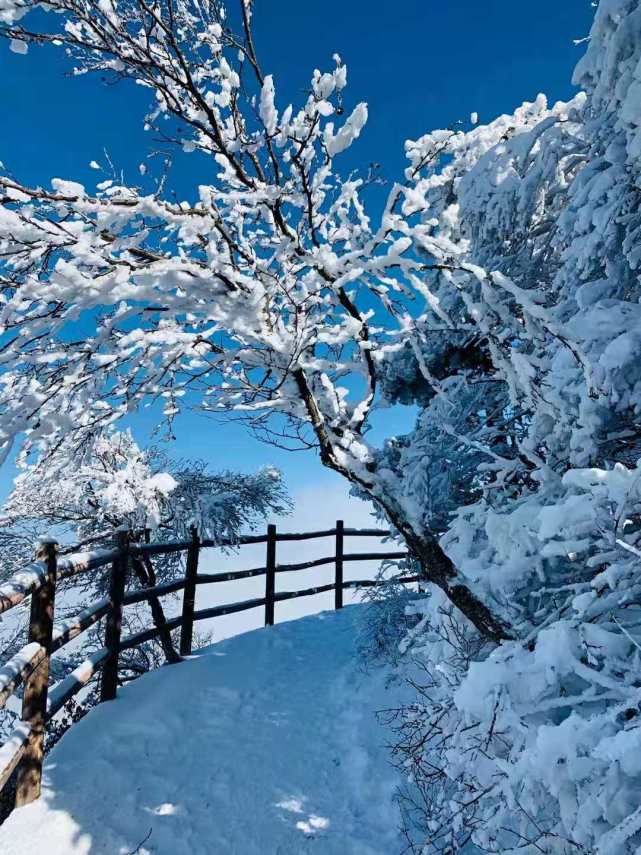 老君山琼楼玉宇,老君山的琼楼玉宇