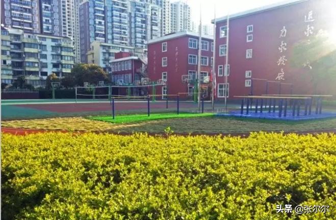 上海西南位育高中国际部,上海国际学校国际部高中