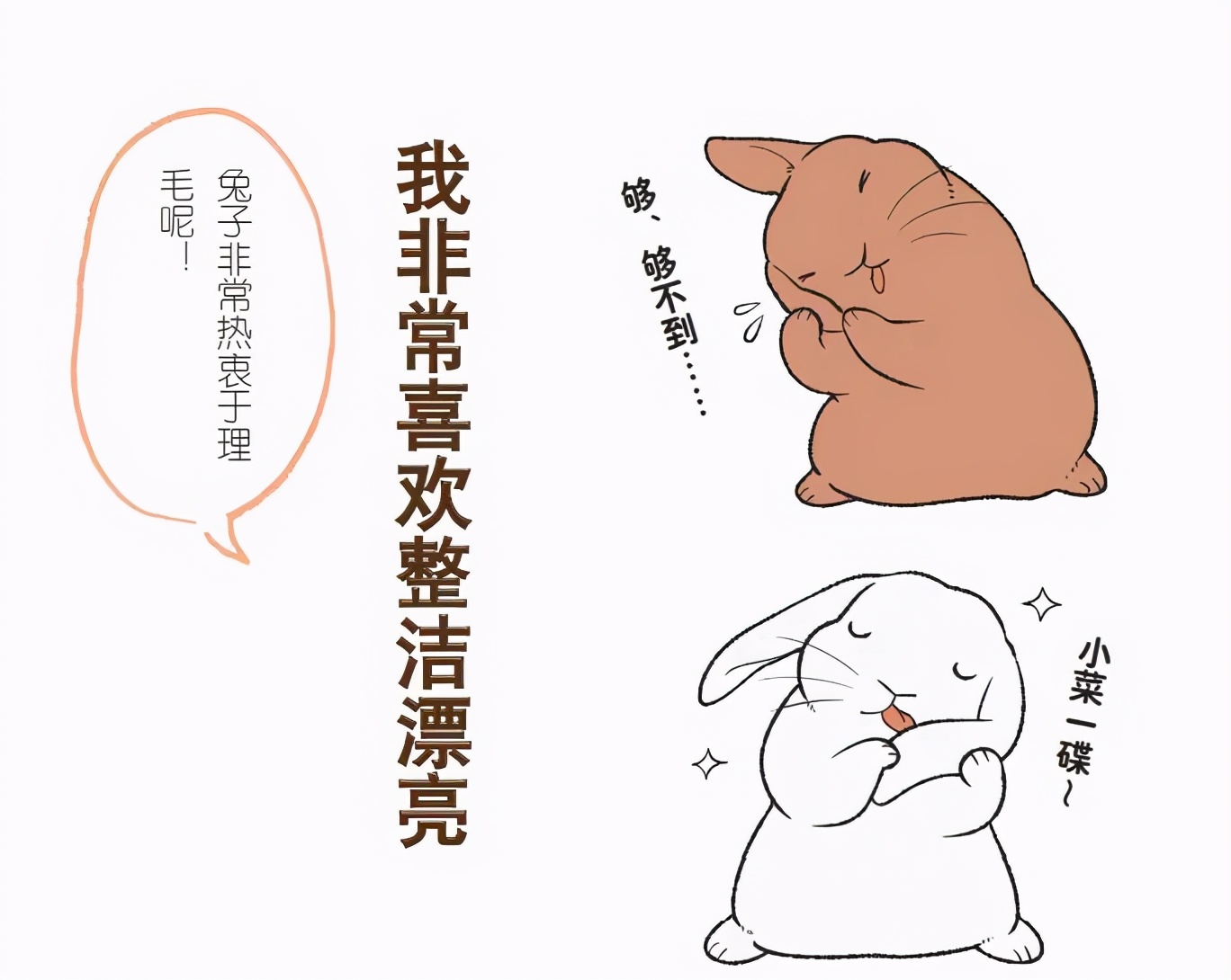 兔子不好养是什么意思,养兔子技巧