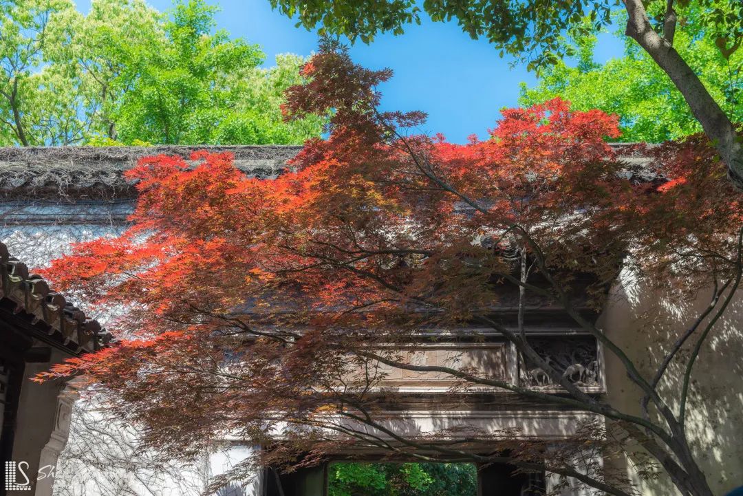 江南六大古镇同里,江南幸福楼同里古镇