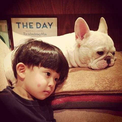 斗牛喜欢小刺猬,斗牛老是输是什么原因