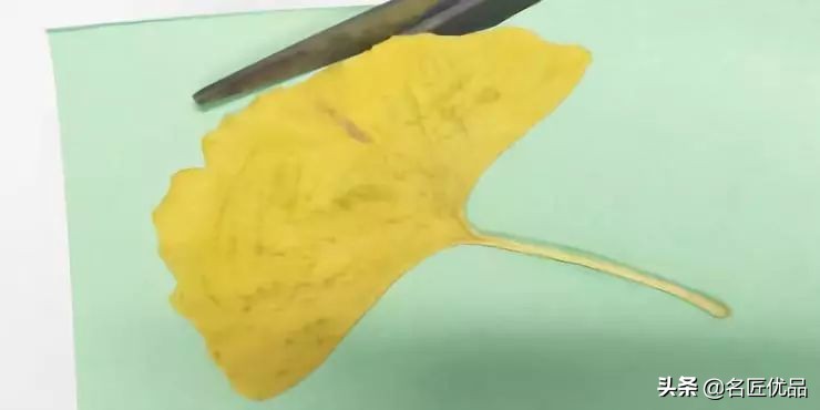 超惊艳的树叶手工,有趣的树叶手工制作