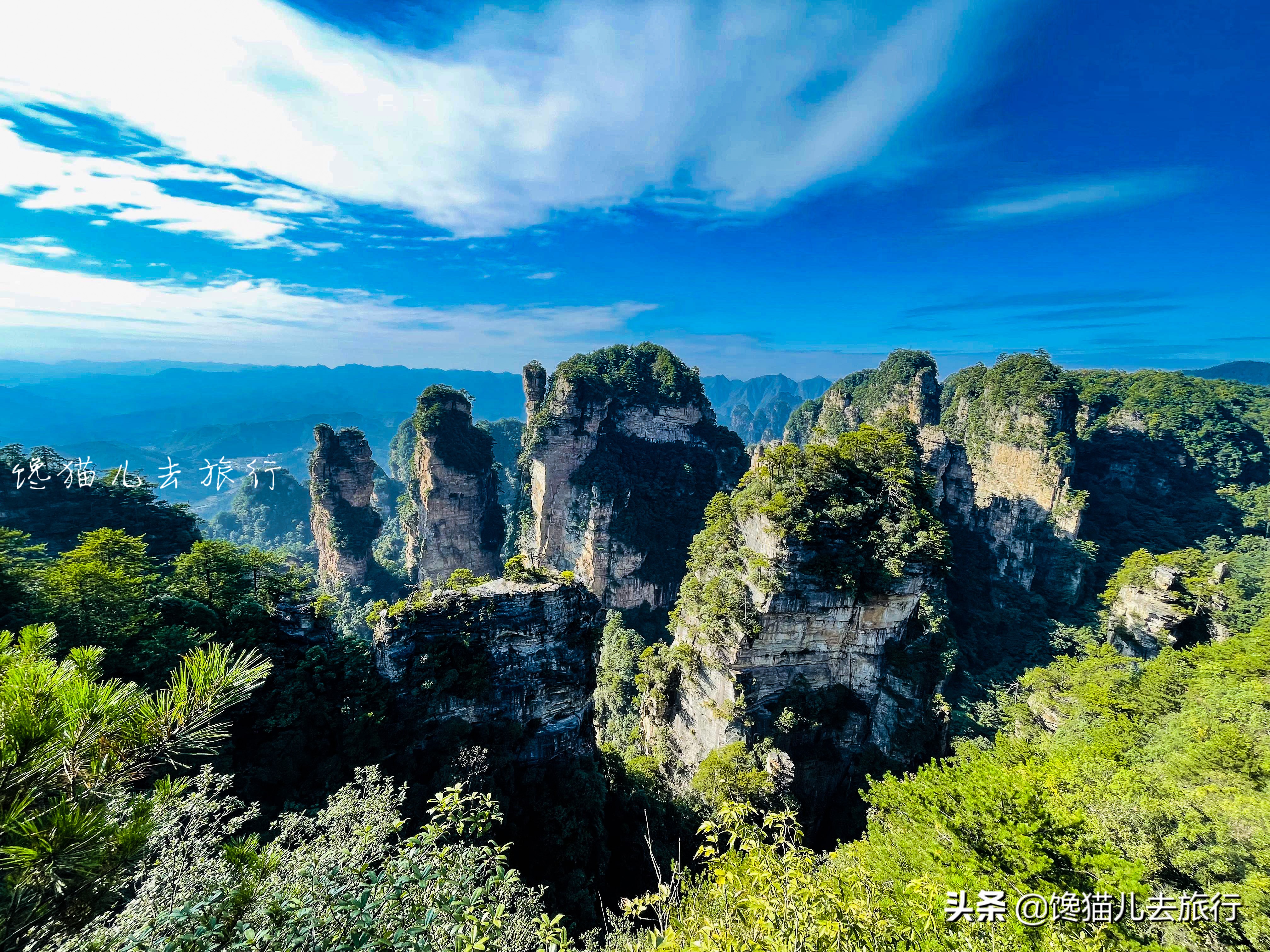 张家界旅游计划行程表模板,暑假旅游张家界攻略路线图简单版