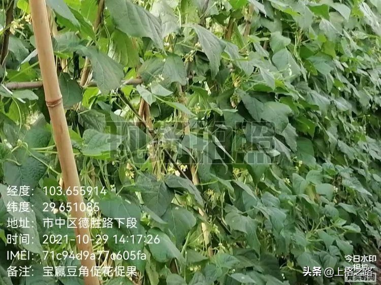 天禾宝赢套装为农作物的丰收保驾护航