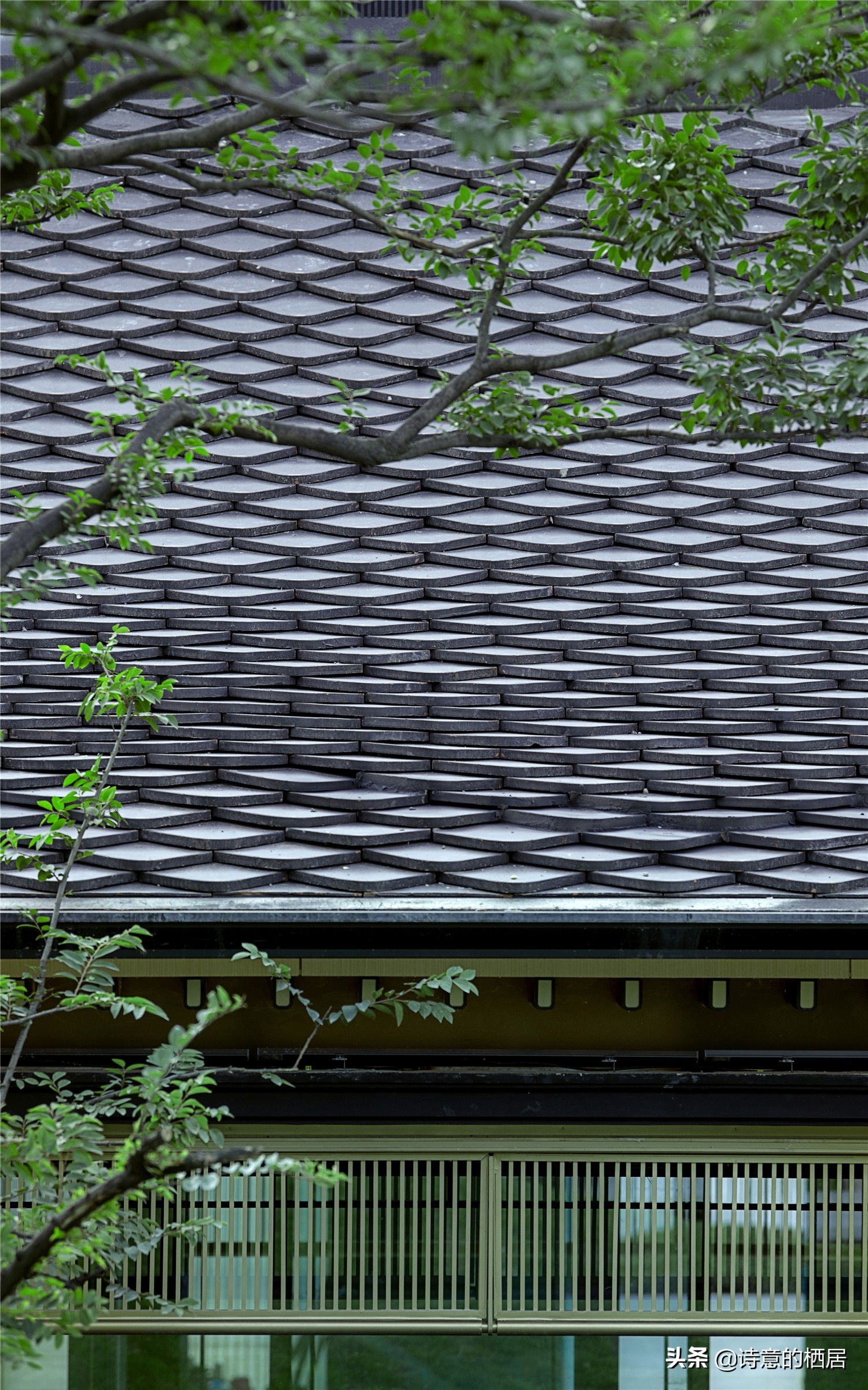 最美建筑绘画,方寸之间皆诗意