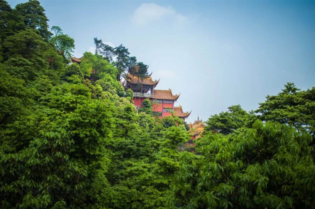 为家乡打call南通,为家乡打call重庆