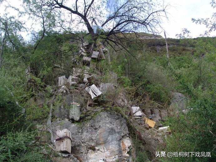 排棺葬的最佳方法,悬棺葬的详细流程