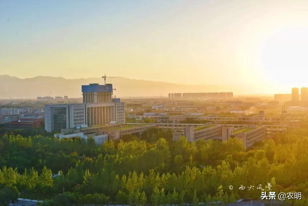 陕西投资938亿元重点项目,陕西开工795个省市重点项目