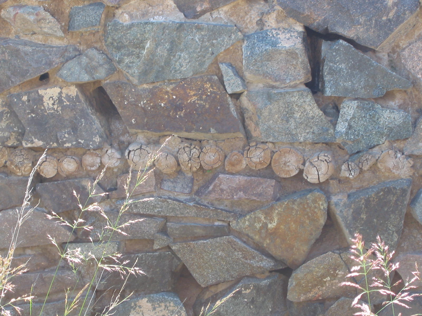 青海都兰吐蕃大墓发掘记,青海都兰墓群