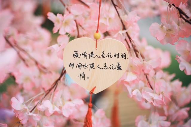 断情散DJ版,断情散完整歌曲