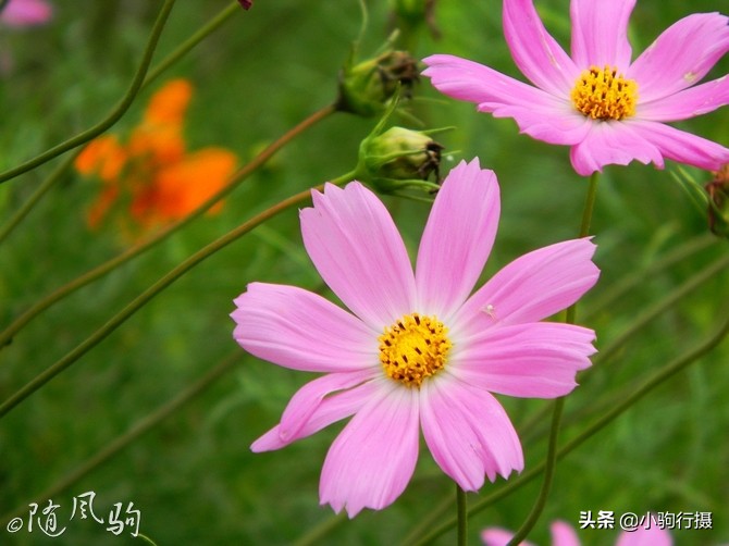 单车骑行无锡,无锡单车骑行路线