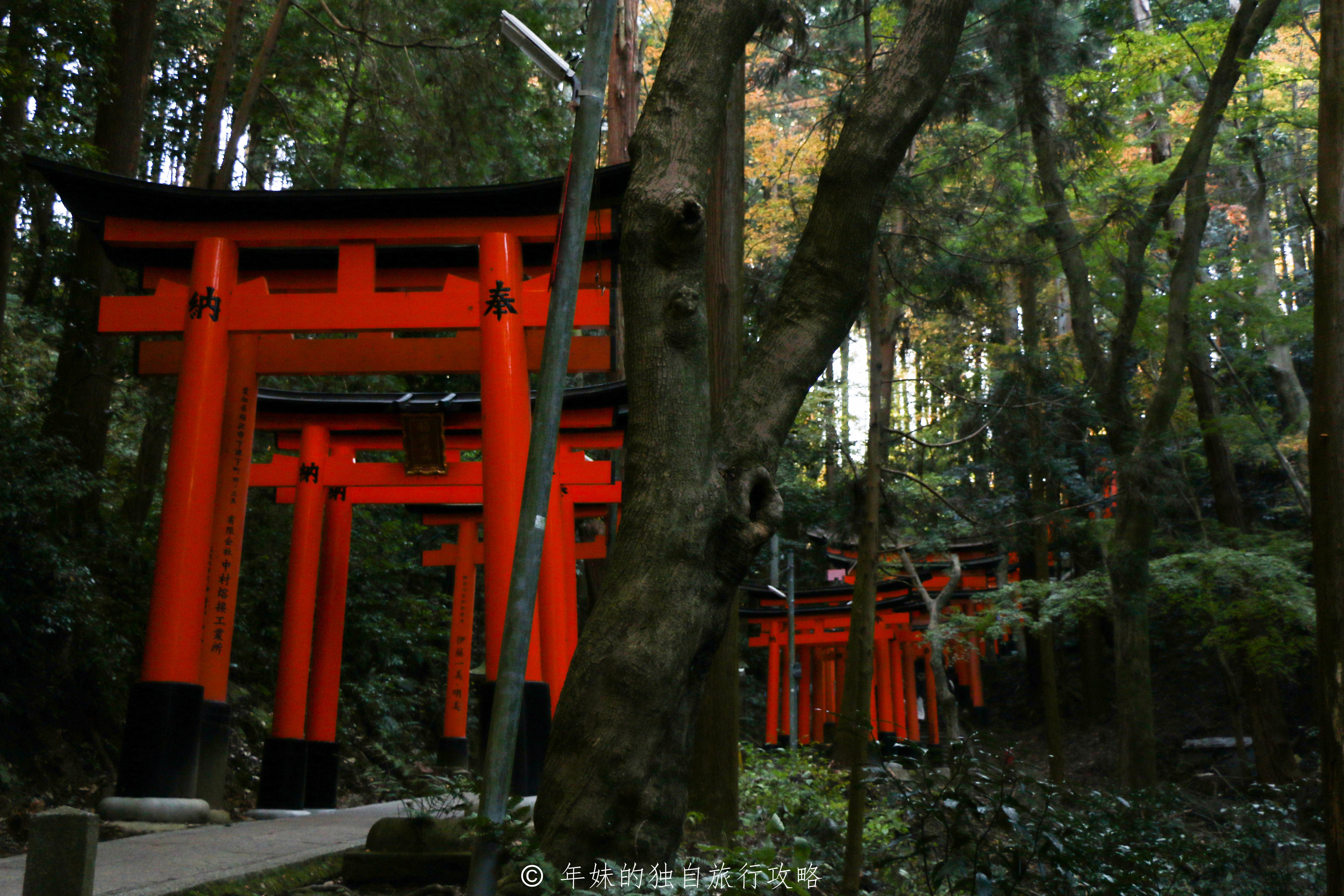 日本京都跟团旅游攻略,日本京都骑行旅游攻略