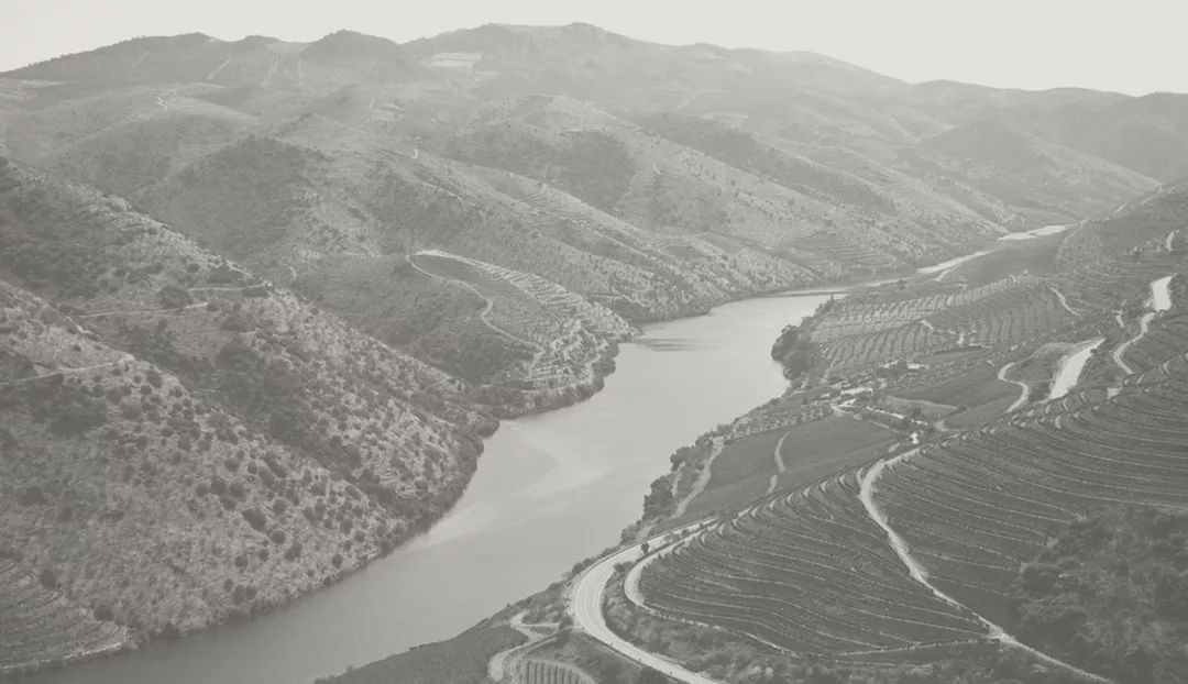 创意包装设计简约也是一种美,令人心动的10款包装设计