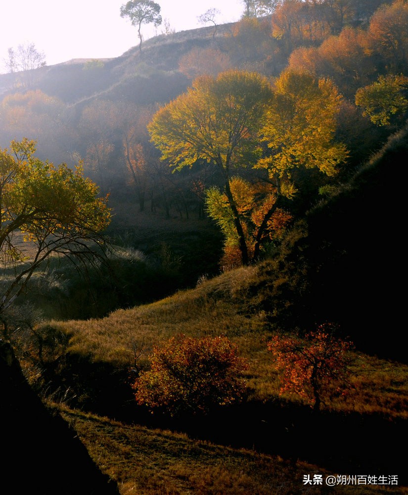 朔州：张耀元宅家随笔五则