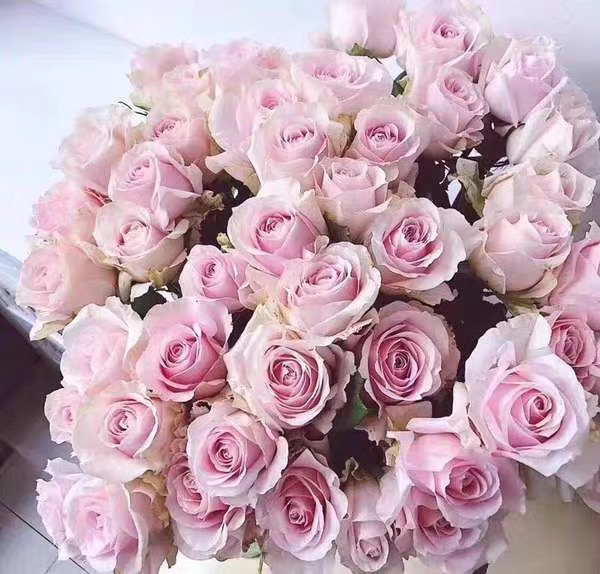 生活，因为喜欢肖战而不同