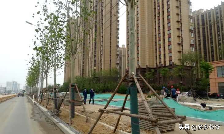 日照文旅,日照天气