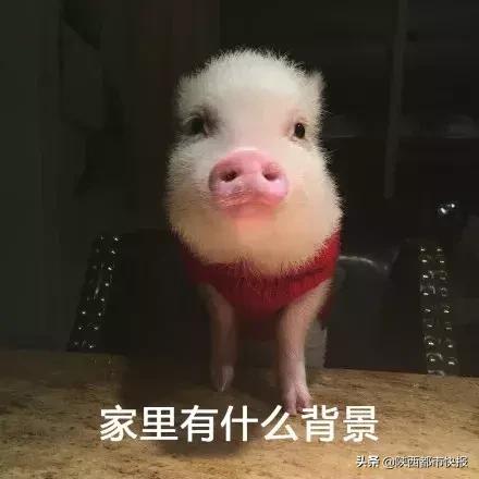 警惕新兴多人被骗骗子套路曝光,西安多人被骗900万