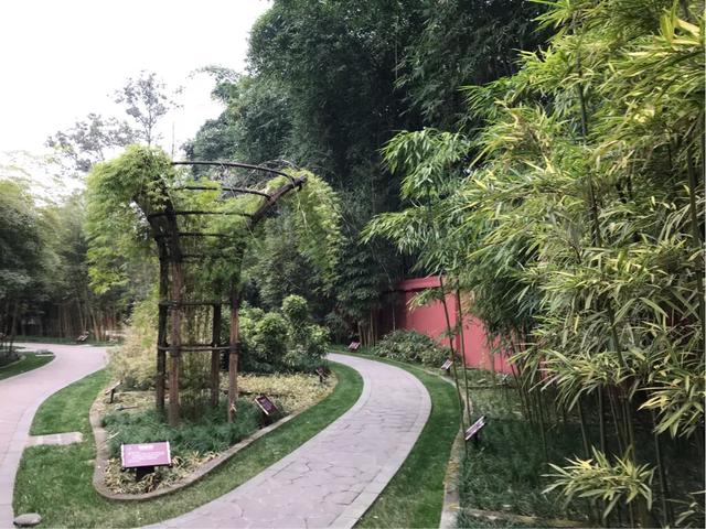 成都望江楼公园简介,成都望江楼公园要门票吗