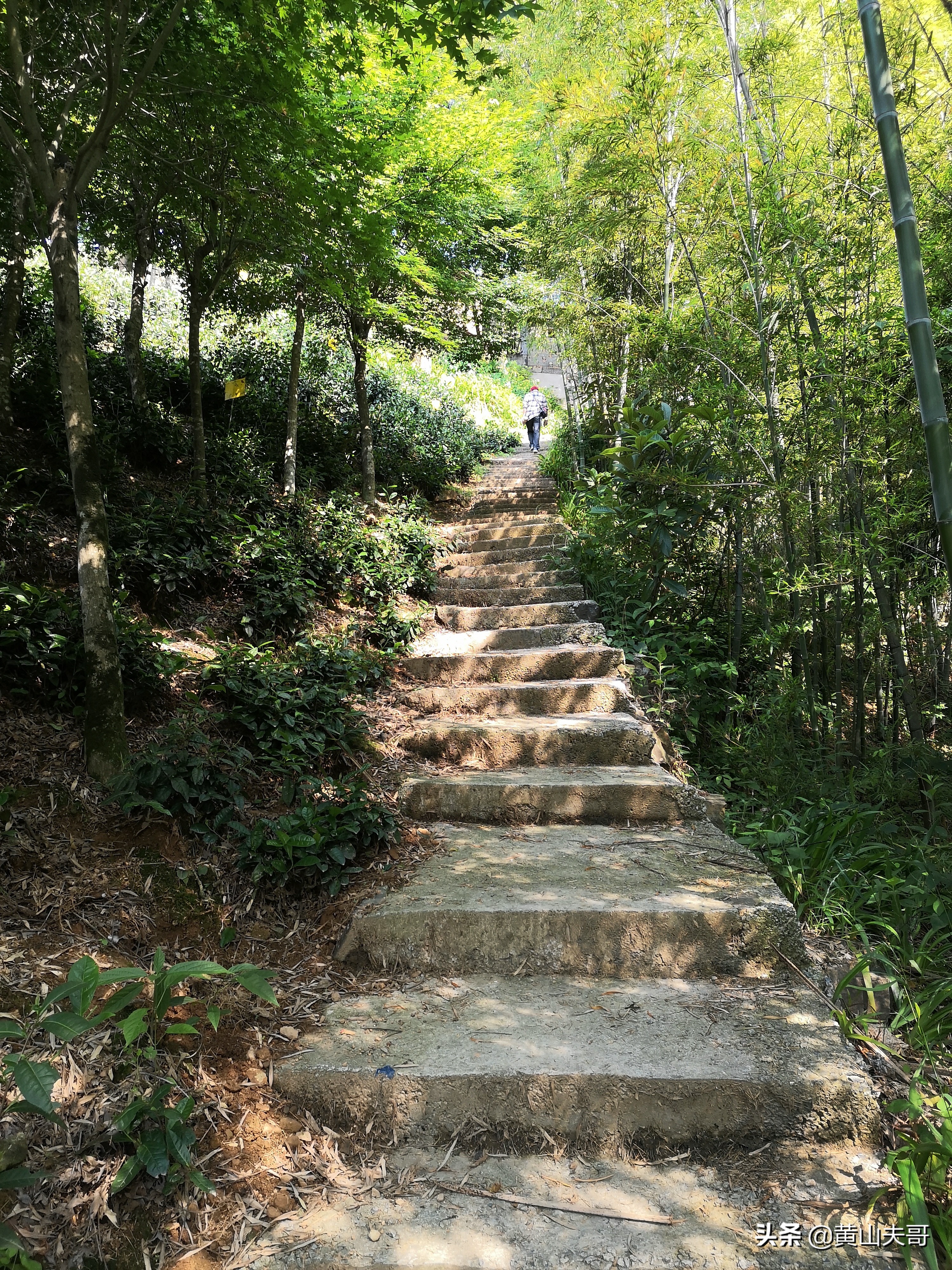 黄山最吓人景区,黄山爬山最吓人的地方