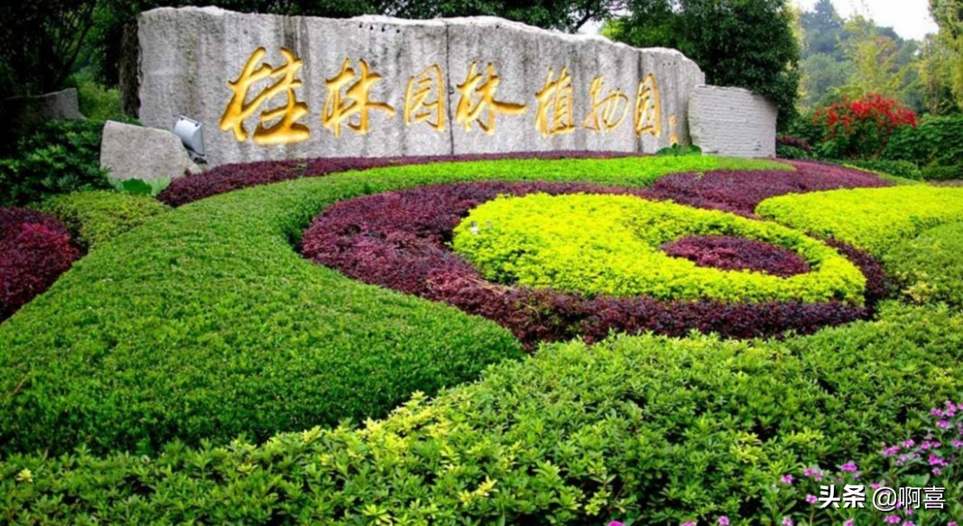 桂林风景区一日游景点大全,桂林国家森林公园游玩攻略路线