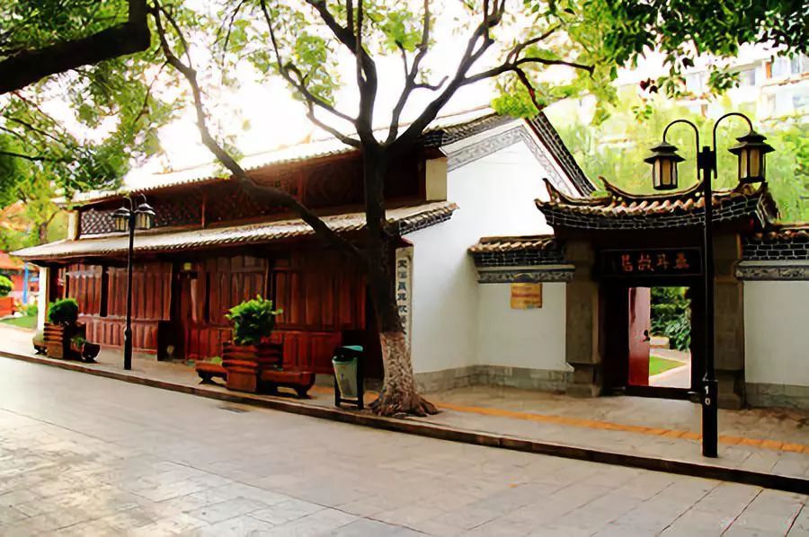 昆明轿子雪山自驾一日游攻略,昆明周边一日游自驾游路线推荐