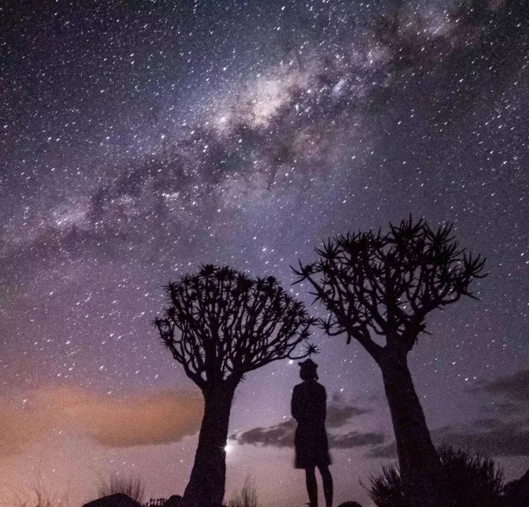 80个国家环游世界,环游世界走遍197个国家