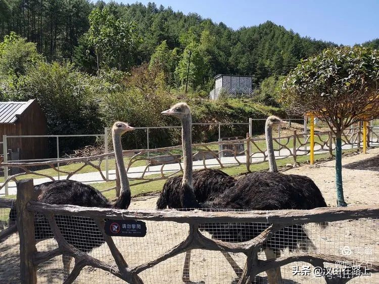 汉中户外遛娃好去处排行榜,汉中遛娃旅游景点有哪些