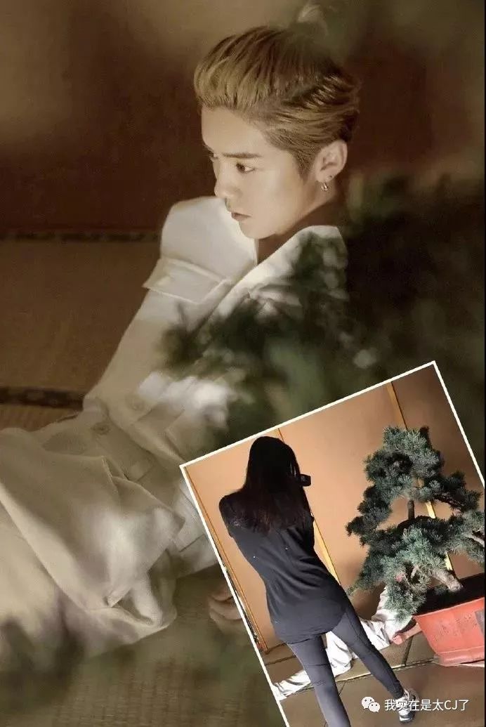 这才是成熟男人的pose,经典的pose男