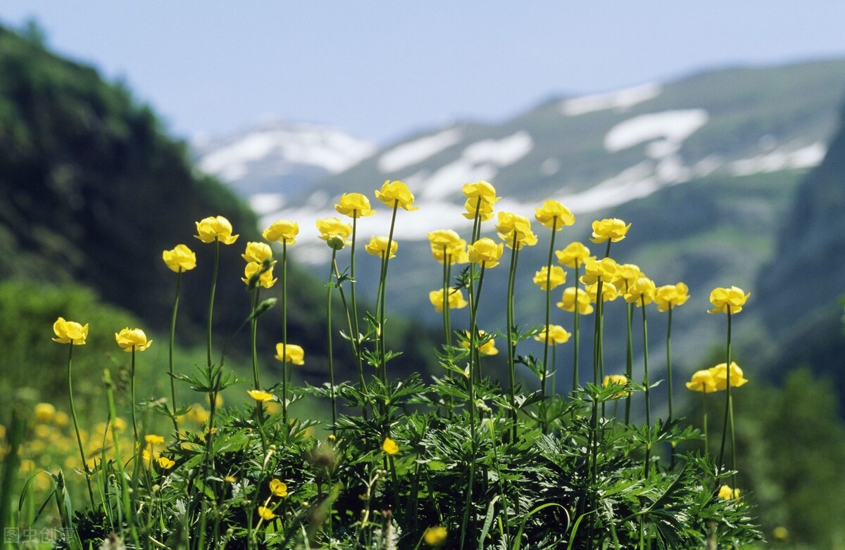 一位母亲的自述：有了儿媳之后，生活开始发生变化