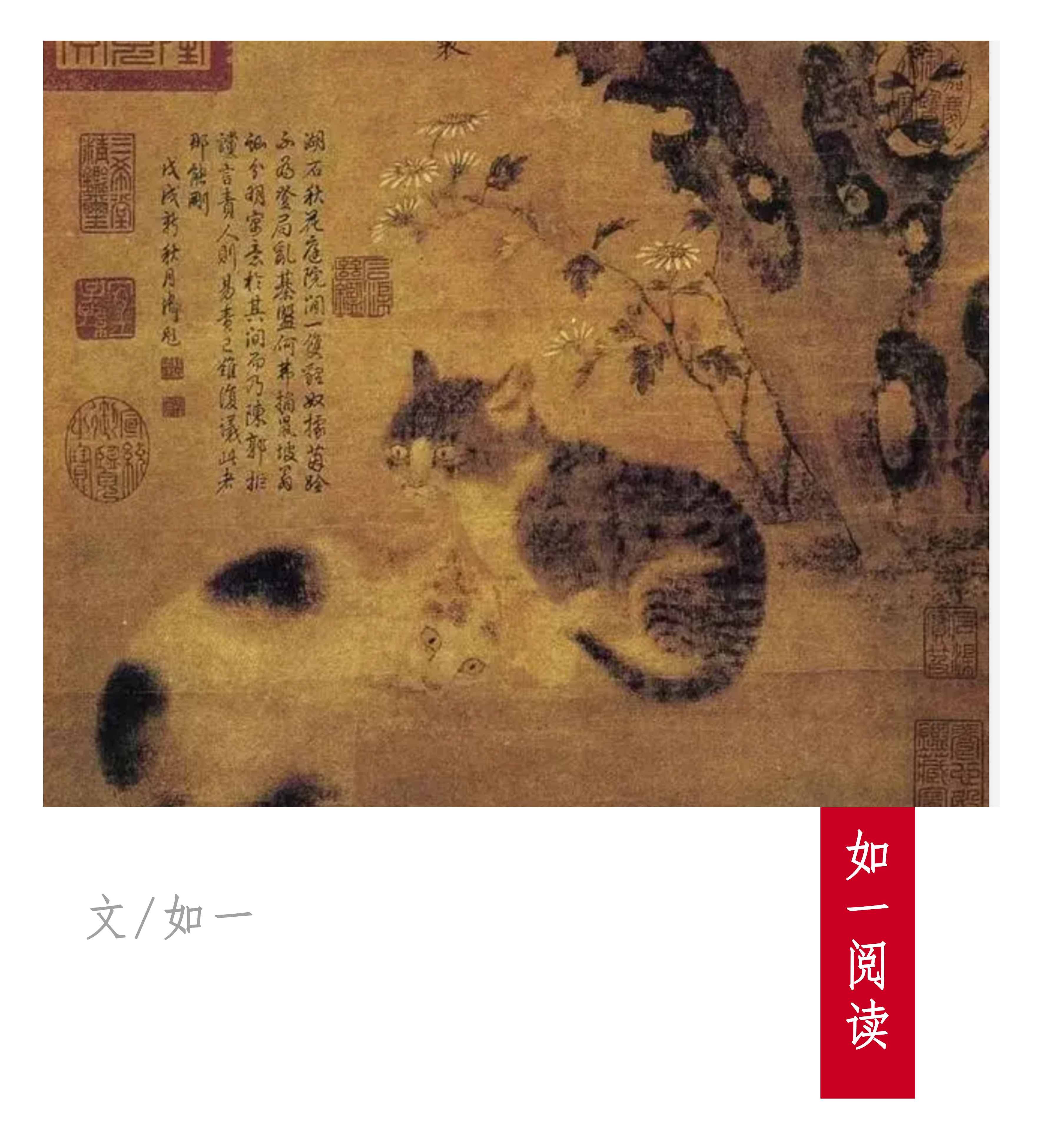 宋人与狸奴:一个疯狂吸猫的时代